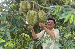 Bộ trưởng Lê Minh Hoan: 
