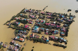 Hàng trăm tỷ đồng giá trị nông nghiệp ở Nam Định bị "bay theo gió, ngập trong lũ"