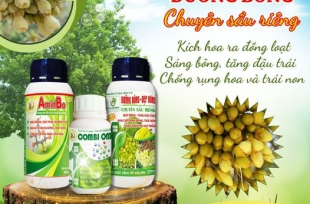 Bộ sản phẩm "Dưỡng Bông" chuyên Sầu Riêng