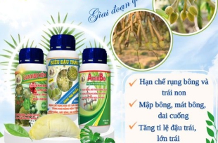 Bộ sản phẩm "Nuôi Trái" chuyên Sầu Riêng