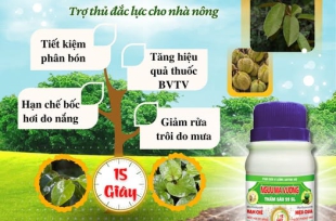 Ngưu Ma Vương Thấm Sâu 99SL - Trợ thủ đắc lực của nhà Nông