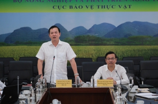 Trung Quốc mua sầu riêng nhiều nhất thế giới, lại trồng được 2.700ha ở đảo Hải Nam, Việt Nam cần làm gì?