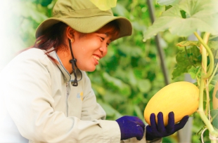 Nông nghiệp ở Unifarm: Từ vùng đất nghèo đến mô hình nông nghiệp hiện đại