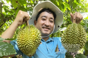 Thái Lan tăng nhập khẩu sầu riêng Việt Nam
