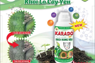 KARADO - SẠCH RONG RÊU