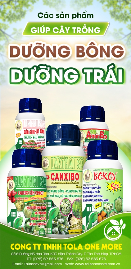 DƯỠNG BÔNG, DƯỠNG TRÁI