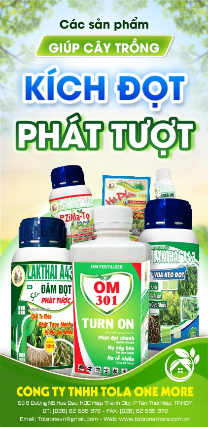 KÍCH ĐỌT, PHÁT TƯỢC