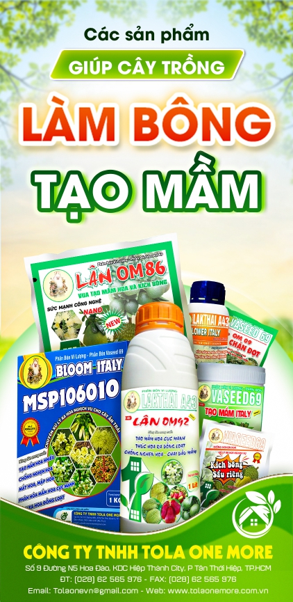 LÀM BÔNG, TẠO MẦM