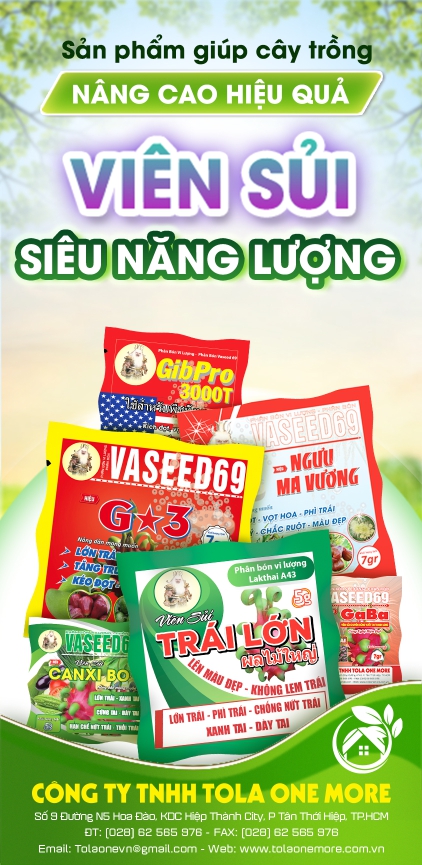 VIÊN SỦI