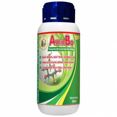 AminBo