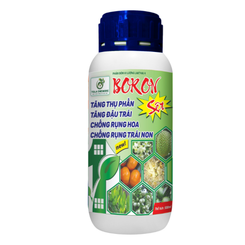 Boron Sệt