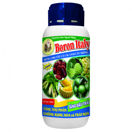 Boron Italy