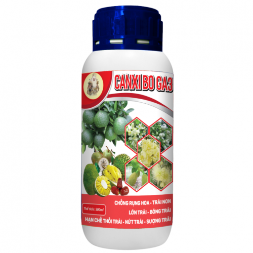 Canxi Bo GA3