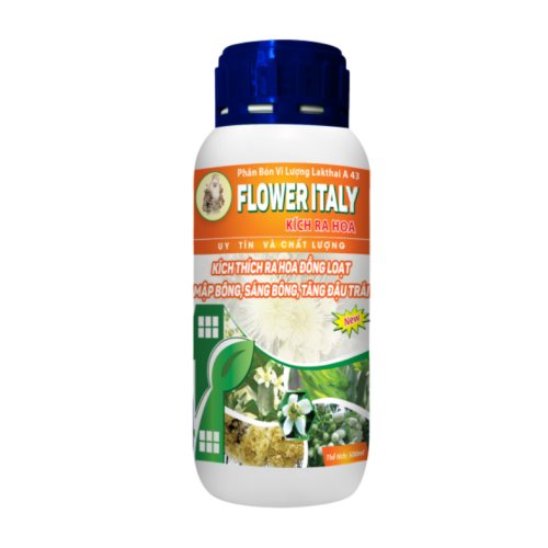 Flower Italy