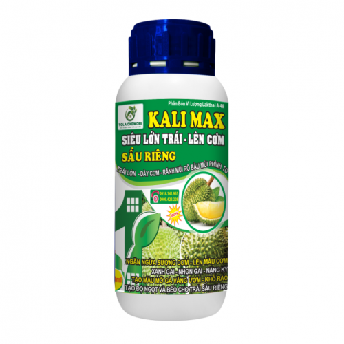 Kali Max - Siêu lớn trái, lên cơm