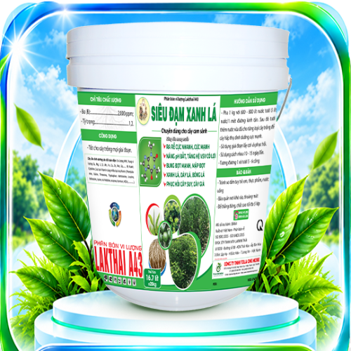 Xô Siêu Đạm Xanh Lá