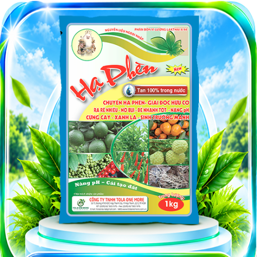 Hạ Phèn