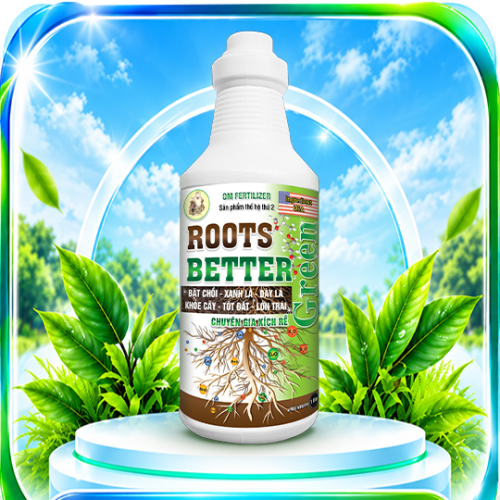 Roots Better
