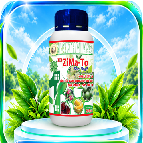 ZiMa - To