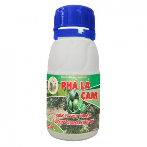 Phá lá cam