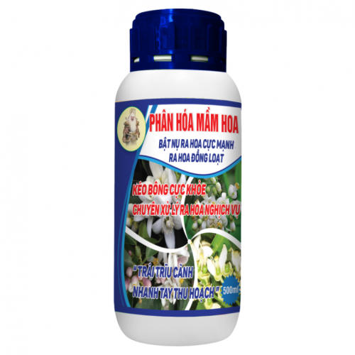 Phân hóa mầm hoa