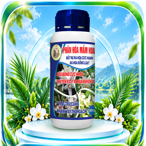 Phân hóa mầm hoa