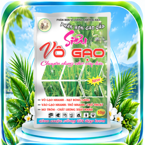 Siêu vô gạo