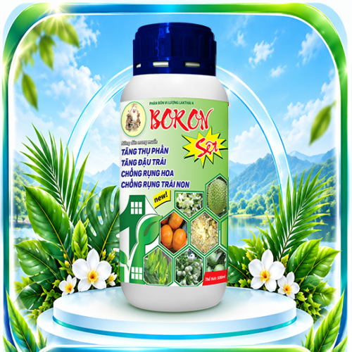 Boron Sệt