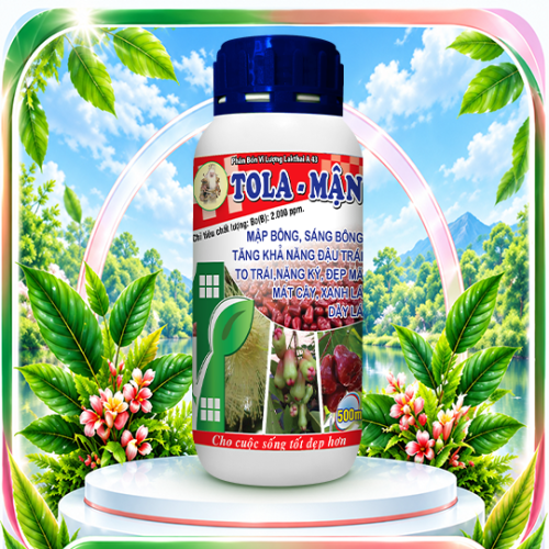 Tola - Mận