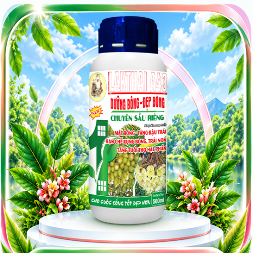 Dưỡng bông, đẹp bông