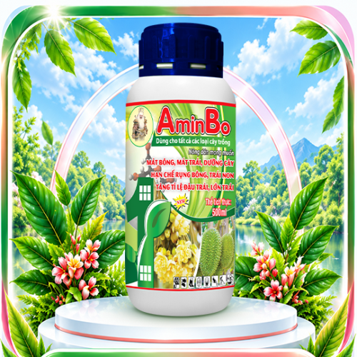 AminBo