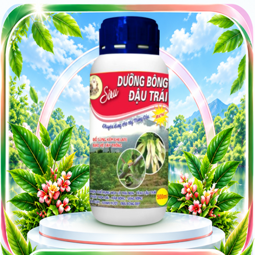 Siêu dưỡng bông đậu trái