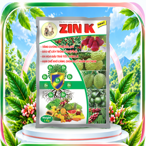 Zin K
