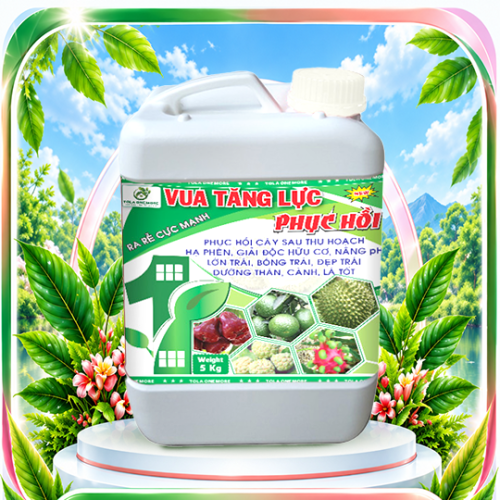 Vua tăng lực phục hồi