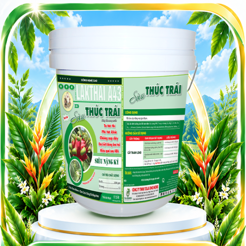 Xô Siêu thúc trái chuyên Thanh Long