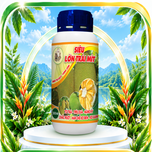 Siêu lớn trái mít