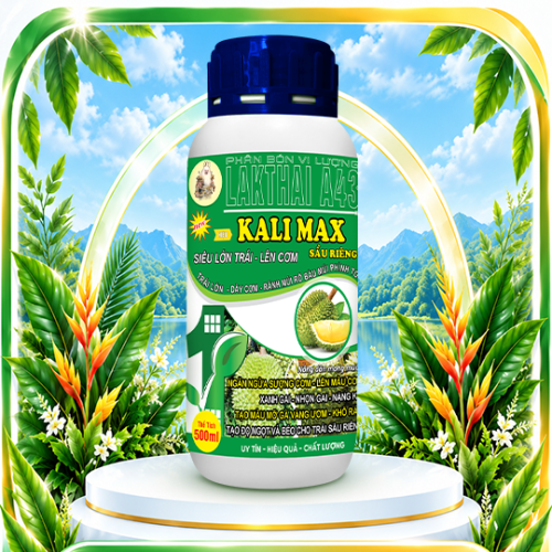 Kali Max - Siêu lớn trái, lên cơm