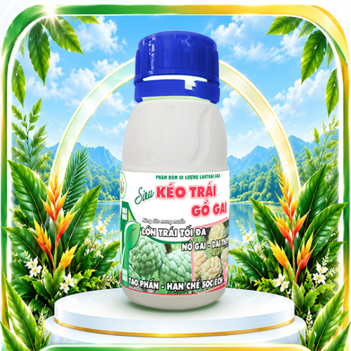 Siêu kéo trái, gồ gai