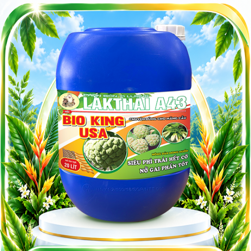 BiO KING USA