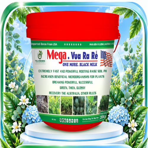Mega - Vua ra rễ