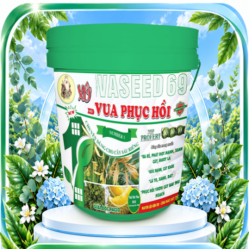 Xô Vua Phục Hồi