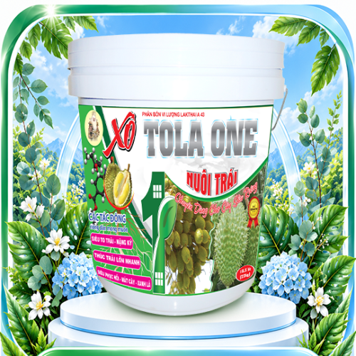 XÔ TOLAONE - 18KG