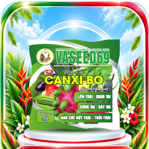 Viên Sủi Canxi Bo