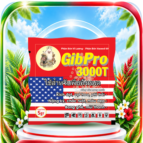 Viên Sủi GibPro 3000T