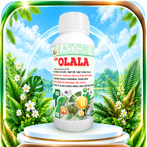 Olala