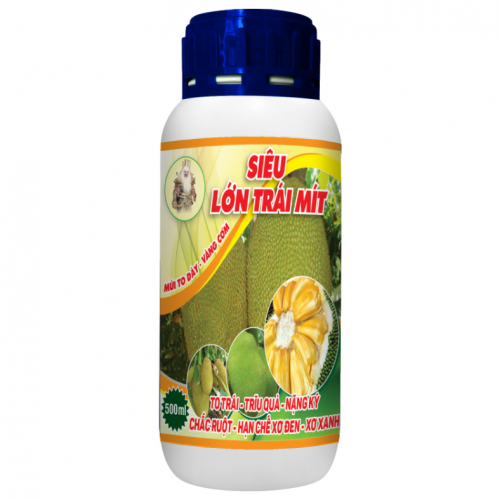Siêu lớn trái mít