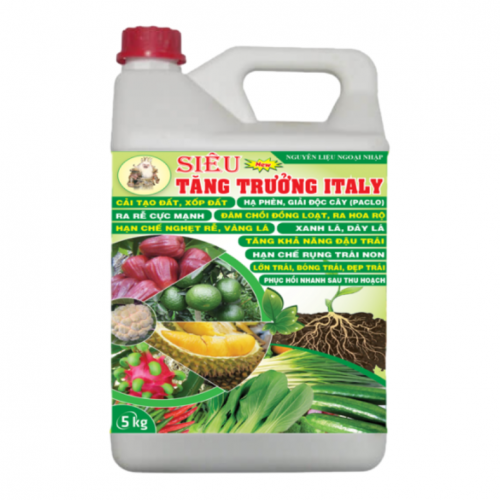       Siêu tăng trưởng Italy