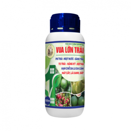 Vua lớn trái