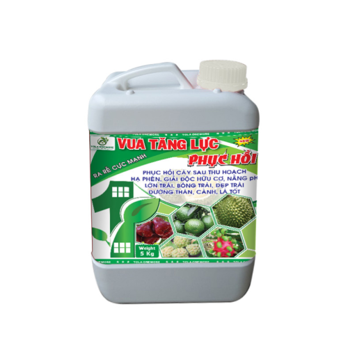Vua tăng lực phục hồi