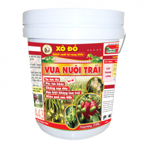 Xô vua nuôi trái